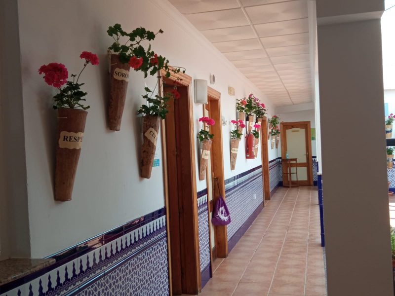 Casa de la Juventud - Imagen 4