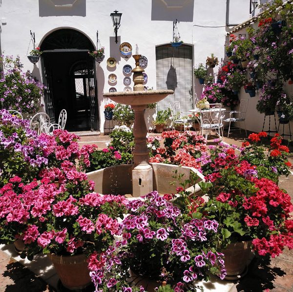 Patio Francisco Salto, Rute