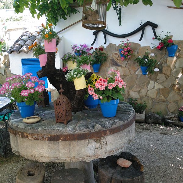 Rincón de Carmen, Rute