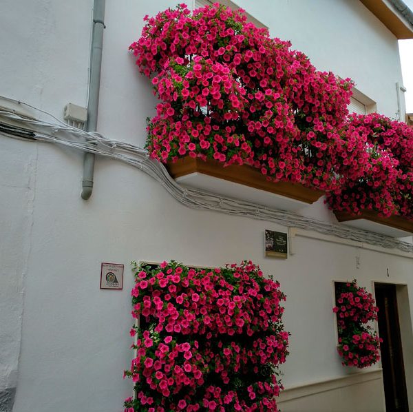 Balcón calle Toledano, Cabra