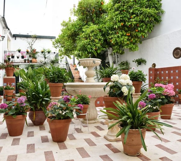 Patio Martín Belda, Cabra