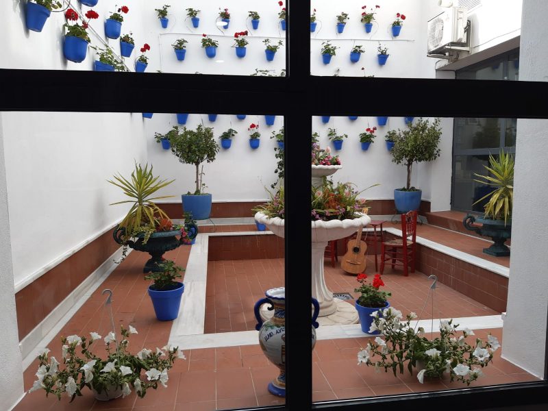 Patio Interior Ayuntamiento - Imagen 6