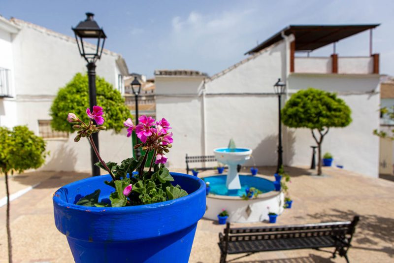 Plaza de La Solana 2 - Imagen 2