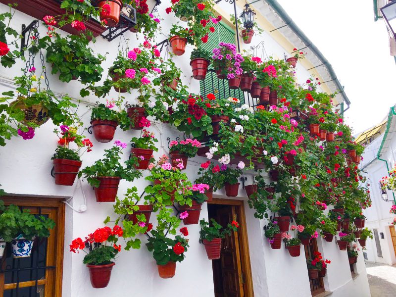 Balcón-Fachada de Rosa Pareja