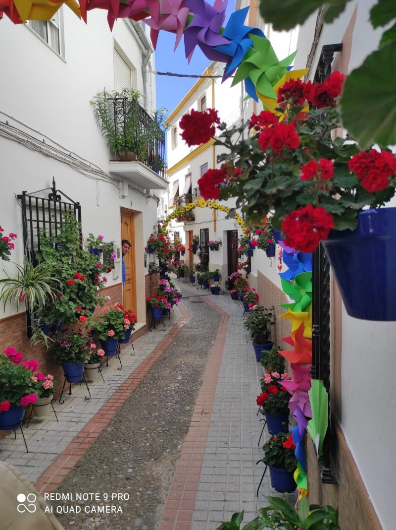 Rincón Calle Juanita la Larga