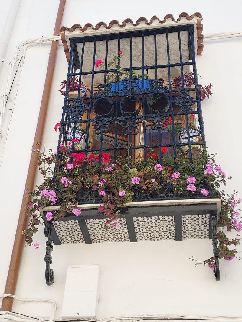 Reja de Lola