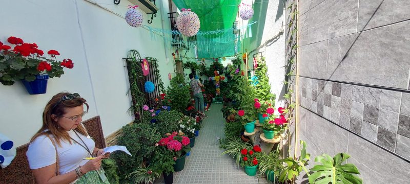 Rincón Calle Torres 11