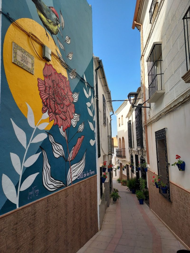 Calle San José