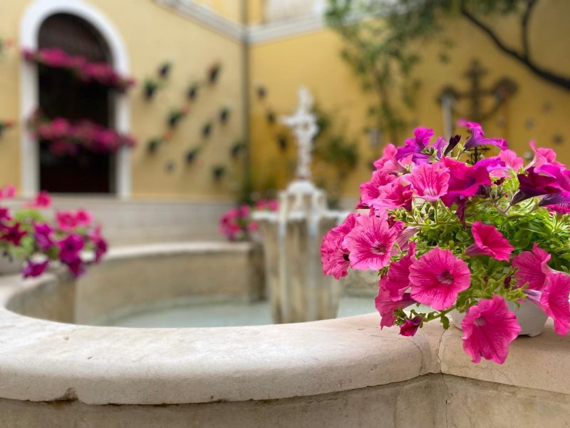 Patio del Museo Fundación/Instituto Aguilar y Eslava Cabra