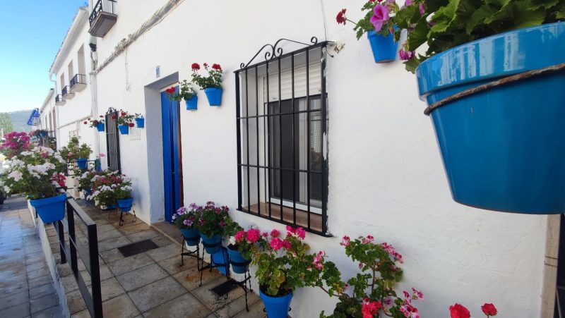 Fachada Azul